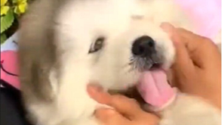 “艾特世界上最可爱的人来看”