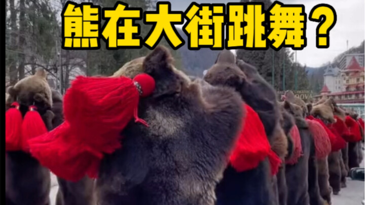 Hordes of bears are dancing in the streets: New Year’s festivities in the Romanian town of Comănești