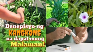 GAWIN MO ITO SA KANGKONG AT MALAKI ANG MAITUTULONG NITO SA IYONG KALUSUGAN | Tenrou21