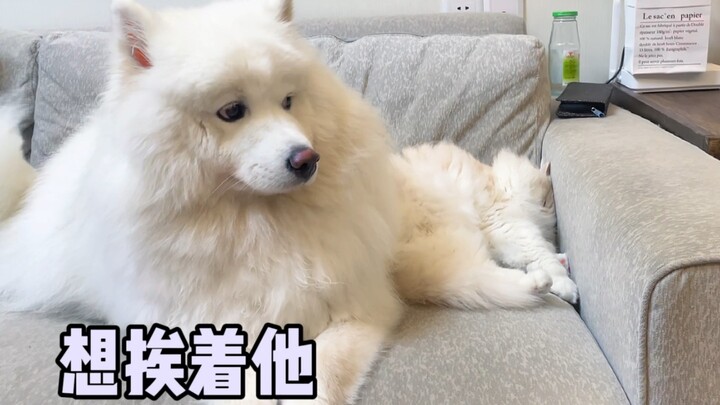 When a dog-type girlfriend meets a cat-type boyfriend...