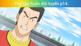 Trại tập huấn đội tuyển p14