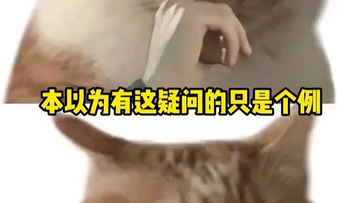 Tôi đã nói rồi, bốn tỉnh Sơn Hà mà có điểm trúng tuyển cao như vậy sớm muộn gì cũng xảy ra chuyện!