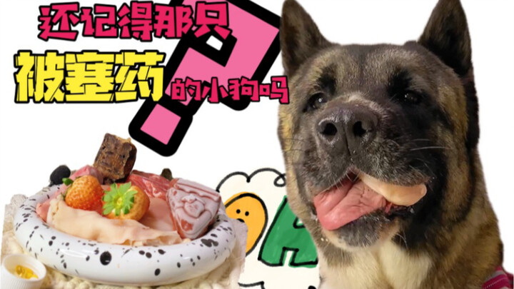 Gigi: Apa yang baru aja lewat tadi?