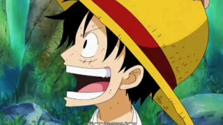 Trong Vua Hải Tặc hồi bé dễ thương nhất là Luffy phải không?