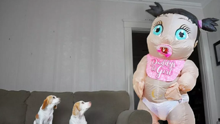 Funny Dogs vs Giant Baby สุนัขตลก Maymo และ Penny