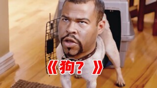 你确定这是一只狗？