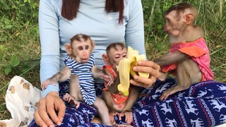Mino monkey started to like Banana now