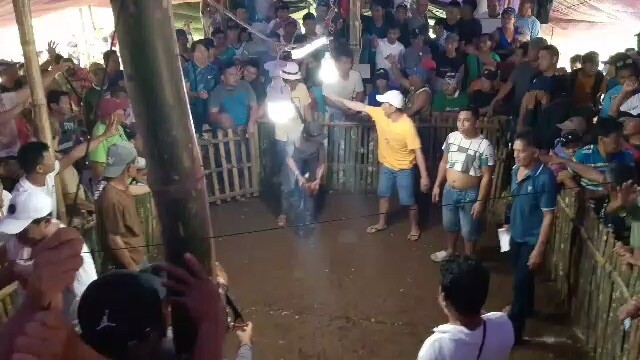 Sweater Cross To YLH 2x winner