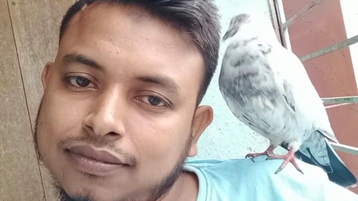 চমৎকার একটি গজল