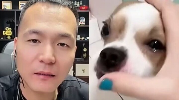 Pan Hongjian's iconic dog moments