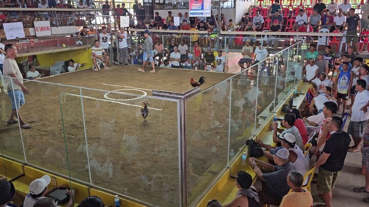 Lemon84 x Gilmore - BICBA 1st Leg 1st fight Win