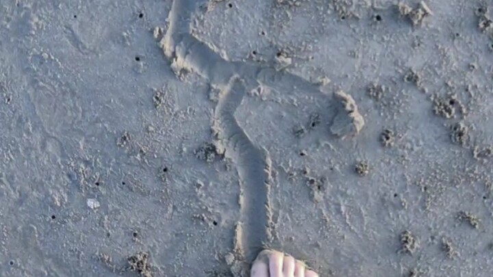 ลองใช้เท้าวาดภาพบนชายหาดกันบ้างไหม