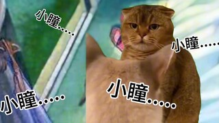 猫MEME讲海虎1【第一回至第七回】