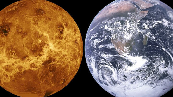 Could Life on Earth Have Originated from Venus?