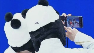 【柚天】旁观者清的一些边角糖~米莎是柚子和天天的铁粉吧(♡⌂♡)