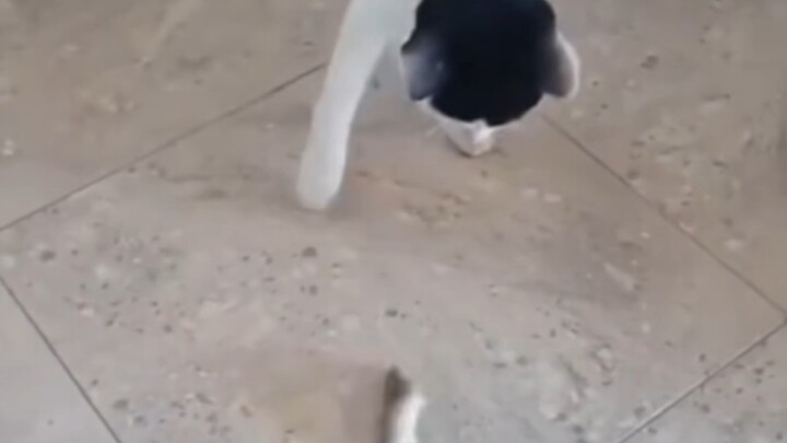 “Năng lượng xoay tròn vàng son hoàn mỹ”