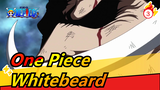 [One Piece] Summit War, The Name of This Era Is Whitebeard_3