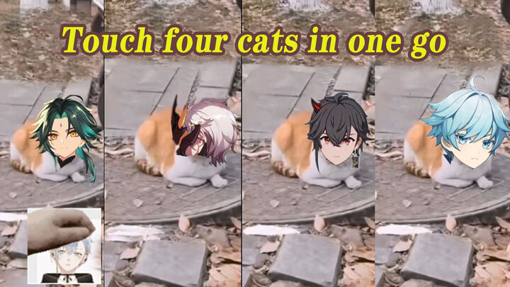 Menyentuh Empat Ekor Kucing Sekaligus