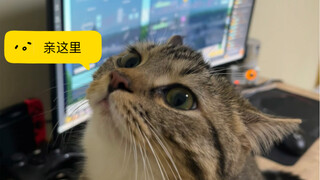 一动一动的可爱小鼻子