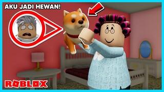 Aku Menjadi Hewan Peliharan Dan Di Adopsi Nenek! (Pet Story) - Roblox Indonesia