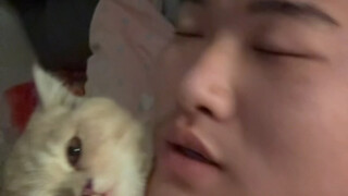 ราตรีสวัสดิ์ น้องแมว ขอให้มีความสุขนะ