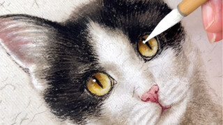 有喜欢田园猫的吗