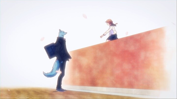 ROMANCE ANIME FURY !!!!