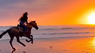 إذا كنا حتى بالجهد لا نستطيع أن نعيش حياة كهذه، فعلى ماذا نجتهد إذن؟