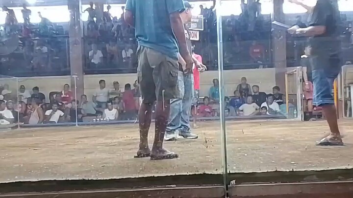 1.2.1.2 lang  na Palo ok na para manalo Ng bahagya lang sugat