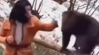The First Human-Monkey Boxing Tournament