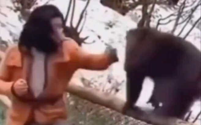 การแข่งขันชกมวยครั้งแรกระหว่างคนกับลิง