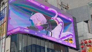新宿惊现巨大猫猫