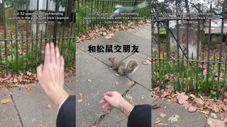 Berteman dengan tupai🐿️