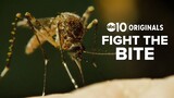 West Nile Virus is here. Fight the bite.