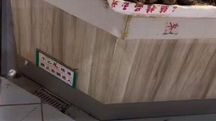 Big Black Rat 3.5 Yuan