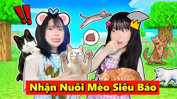 Mèo Simmy Điên Não Khi Nhận Nuôi Mèo SIÊU BÁO !! Sammy Nhận Thêm 5 Bé Mèo Bị Bỏ Rơi