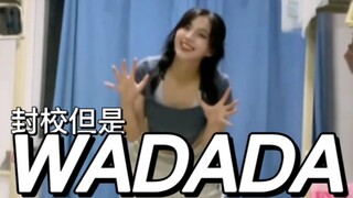 【封校封得皮都皱了版】WADADA（Kep1er）