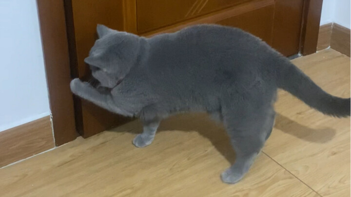 هناك نوع من الحر يشعرني بأنه حار جدًا.