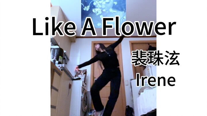 【Jiabei】Dance Diary-Bae Joo-hyun Irene《Like A Flower》🦢cha｜Without the core, you can't stand steadily
