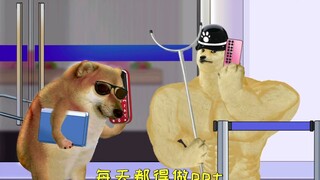 毕业生，保安