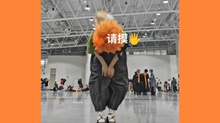 进化之夏！橘子小狗版🍊