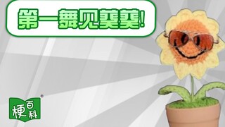 【梗百科】第一舞见葵葵是啥梗？