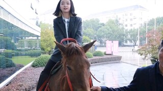 上次骑马上班还是在上次......