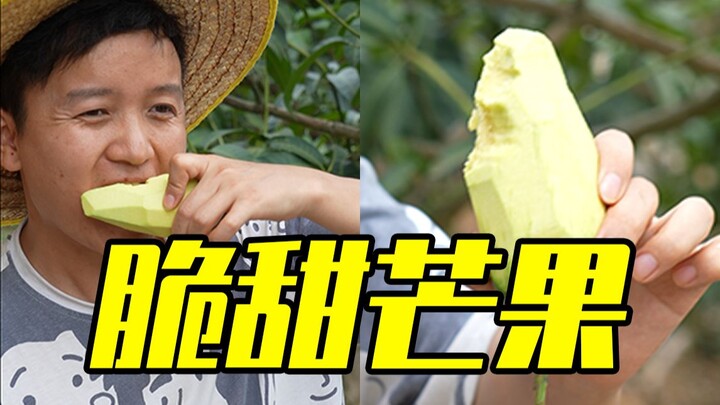 【水果猎人】网红进口“甜心芒”是不是智商税？