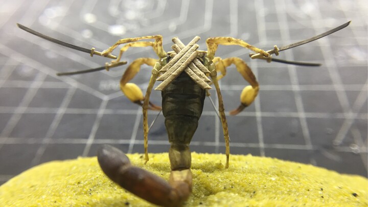 [DIY]Làm tiêu bản bọ cạp Rokutouru nén trong nhựa thông