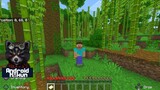 Live Minecraft 1.18 Survival Gameplay