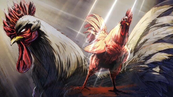 ตัดสินใจเลือกแอนิเมชั่น "ROOSTER FIGHTER" แล้ว