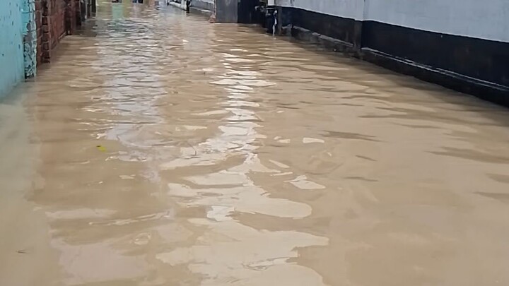 বিষ্টি