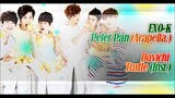 [MASHUP] EXO-K_Peter Pan (Acapella.) + Davichi_거북이 (Turtle) (Inst.)