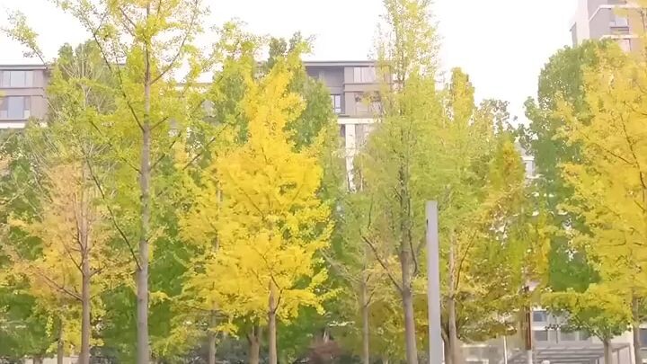 #หมอดูอัจฉริยะถูกหย่า ก่อนแต่งใหม่เปิดชีวิตรุ่ง เผยตัวจริงผู้เก่งกาจ อดีตภรรยาเสียใจเมื่อทุกอย่างพัง